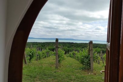 Napraszállás Vendégház Balatonakali