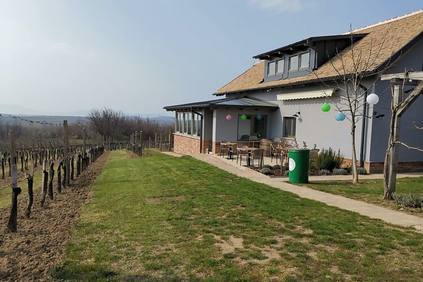A zöld ajtós ház Balatonlelle