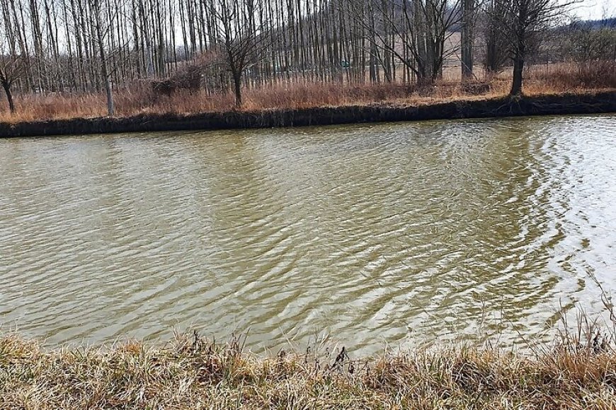 Borostyán Horgásztó és Pihenőpark Mende