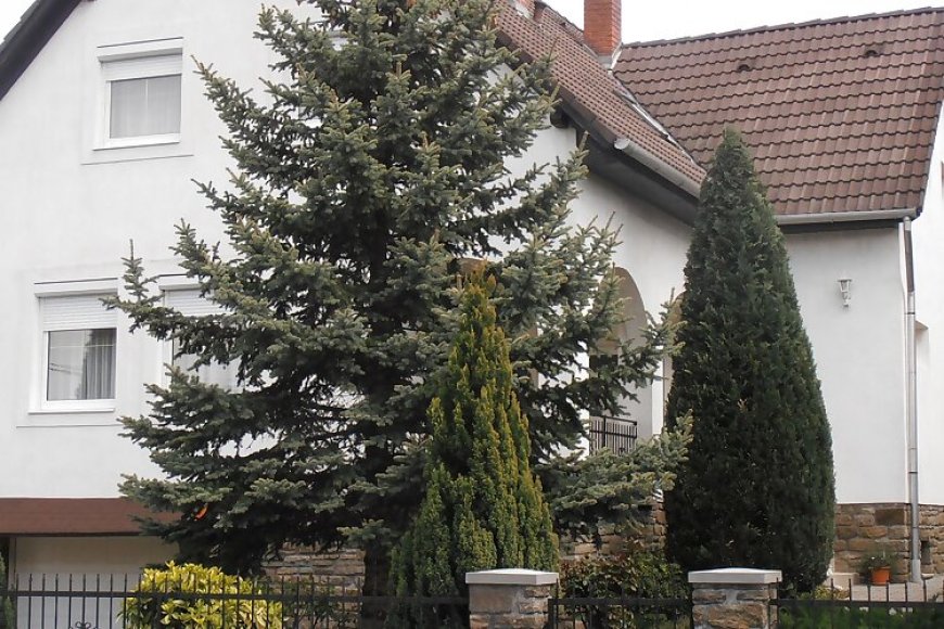 Ulrich Apartman Tihany